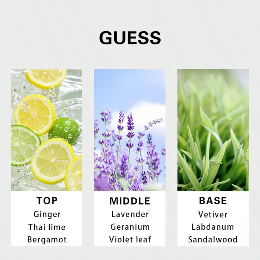 Guess Forever men Eau De Toile - Perfume And Fragrance 评论和价格
